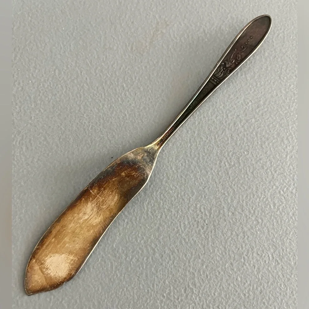 Vintage Oneida 1847 Rogers Bros Stainless Flat Butter Knife – Floral Pattern